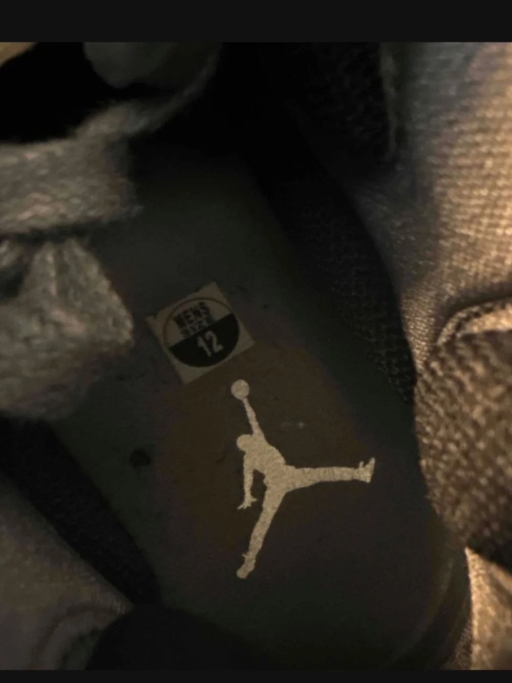 Nike Air Jordan 31 XXXI Metallic Silver Battle Grey